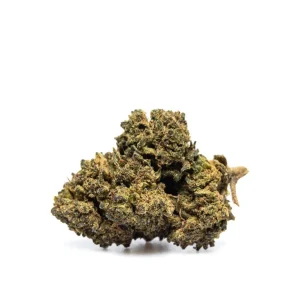 GORILLA GLUE #004 – THX