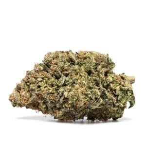 PAYTON'S LEMON S1